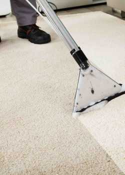  carpet cleaning websites