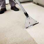  carpet cleaning websites