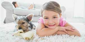 HowToStartAForProfitSite Power Carpet Cleaning Websites carpet cleaning websites