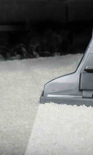  carpet cleaning websites