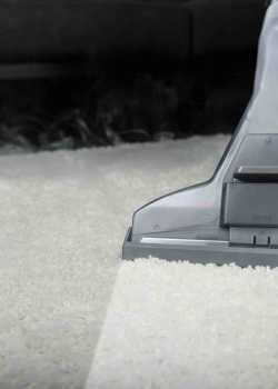  carpet cleaning websites