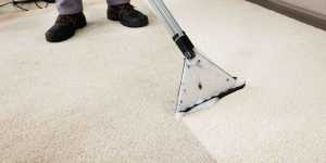  carpet cleaning websites